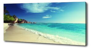 Foto obraz na plátně Seychely pláž oc-188699214