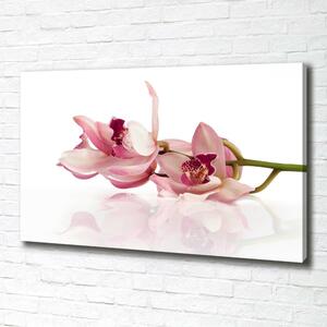 Foto obraz na plátně do obýváku Orchidej oc-18886978