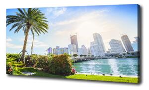 Foto obraz tištěný na plátně Miami USA oc-189099838