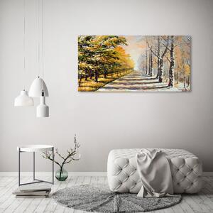 Moderní obraz canvas na rámu Podzim vs zima oc-26973667
