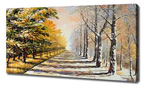 Moderní obraz canvas na rámu Podzim vs zima oc-26973667
