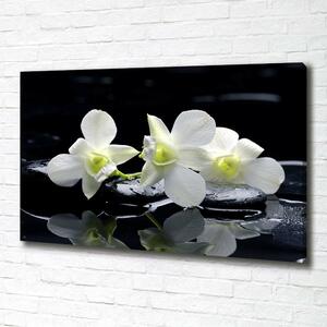 Foto-obraz canvas do obýváku Orchidej oc-28908662