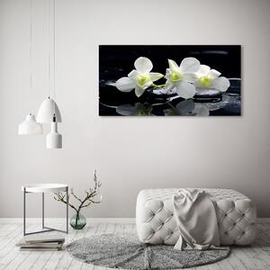 Foto-obraz canvas do obýváku Orchidej oc-28908662