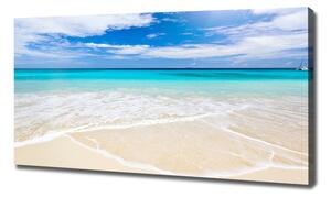 Foto obraz na plátně Tropická pláž oc-32914566