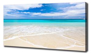 Foto obraz na plátně Tropická pláž oc-32914566