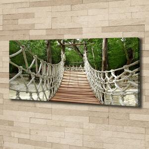 Foto obraz na plátně Lanový most oc-33494302