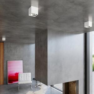 Stropní svítidlo SOLLUX Blake GU10 1x40W bez zdroje SL.0698 bílá