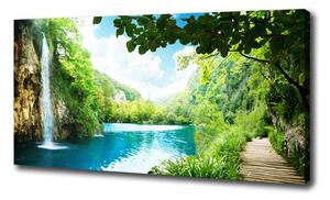 Foto obraz na plátně Vodopád v lese oc-36234695