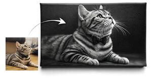 KRAFTHOUSE.EU Váš mazlíček v Prémiovém stylu – obraz na plátno Premium Canvas | Různé rozměry Velikost: 30 x 20 cm