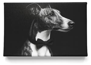 KRAFTHOUSE.EU Váš mazlíček v Prémiovém stylu – obraz na plátno Premium Canvas | Různé rozměry Velikost: 30 x 20 cm