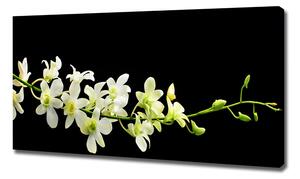 Foto obraz na plátně do obýváku Orchidej oc-4005190