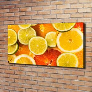 Foto obraz na plátně do obýváku Citrusové ovoce oc-41404635