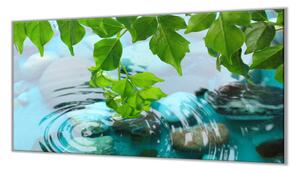 Ochranná deska listí odraz ve vodě - 55x90cm / Bez lepení na zeď