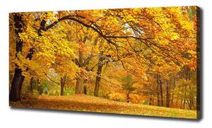 Foto obraz na plátně do obýváku Podzim v parku oc-43414176