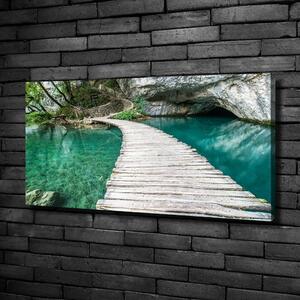 Foto obraz na plátně do obýváku Plitvická jezera oc-44743153