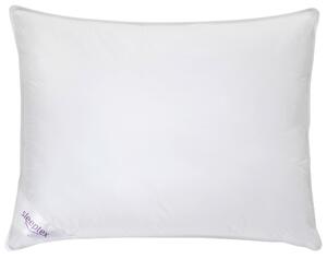 POLŠTÁŘ, 70/90 cm Sleeptex - Polštáře pod hlavu
