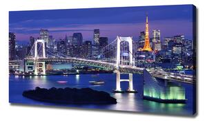 Foto obraz na plátně Most v Tokio oc-46506945