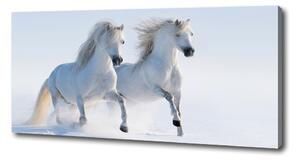 Foto obraz na plátně do obýváku Dva koně ve sněhu oc-46568530