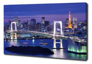 Foto obraz na plátně Most v Tokio oc-46506945