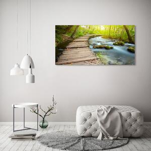Foto obraz na plátně Stezka nad řekou oc-46793485