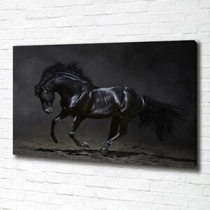 Foto obraz na plátně do obýváku Černý kůň oc-47712826