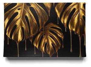 KRAFTHOUSE.EU Golden Drip Monstera – obraz na plátno Premium Canvas | 100% bavlna | Různé rozměry Velikost: 30 x 20 cm