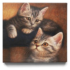 KRAFTHOUSE.EU Koťátka Bráškové – obraz na plátno Premium Canvas | 100% bavlna | Různé rozměry Velikost: 40 x 40 cm