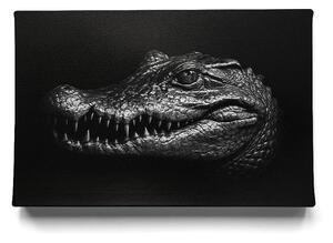 KRAFTHOUSE.EU Krokodýl – Luxusní obraz na plátno Premium Canvas | 100% bavlna | Různé rozměry Velikost: 30 x 20 cm
