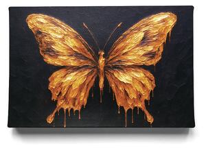 KRAFTHOUSE.EU Zlatý Motýlí Sen – obraz na plátno Premium Canvas | 100% bavlna | Různé rozměry Velikost: 30 x 20 cm