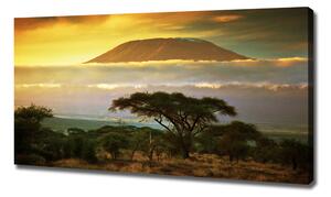 Foto obraz na plátně Kilimanjaro Kenya oc-49494611