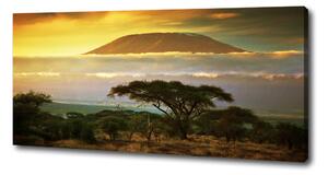 Foto obraz na plátně Kilimanjaro Kenya oc-49494611