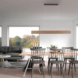 Paul Neuhaus Závěsné LED svítidlo PALMA, 43W, d. 121 cm, CCT 2700-5000K
