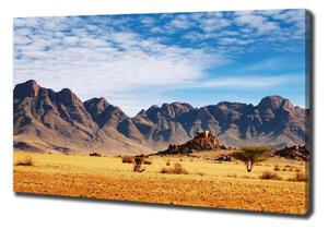 Foto obraz na plátně Skály v Namíbii oc-5022604