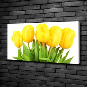 Foto obraz na plátně do obýváku Žluté tulipány oc-50296445