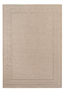 Béžový vnitřní a venkovní koberec 200x290 cm Desert 1304 – Ayyildiz Carpets