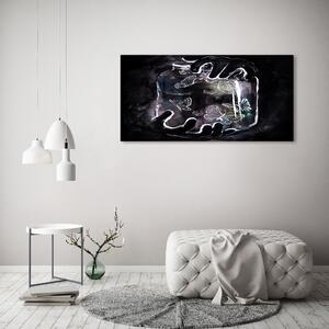 Moderní obraz canvas na rámu Motýli ve skleniki oc-50622699