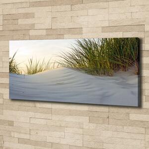 Foto obraz canvas Mořské duny oc-51837949