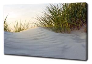Foto obraz canvas Mořské duny oc-51837949