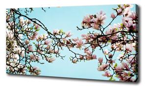 Foto obraz na plátně Květiny magnolie oc-52445180