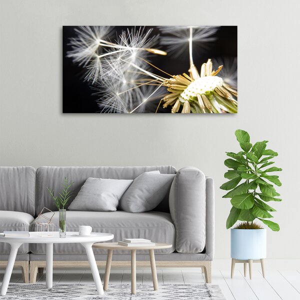 Foto obraz canvas Semeno pampelišky oc-52810737