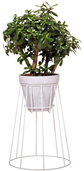 OK Design designové stojany na květináče Cibele Medium