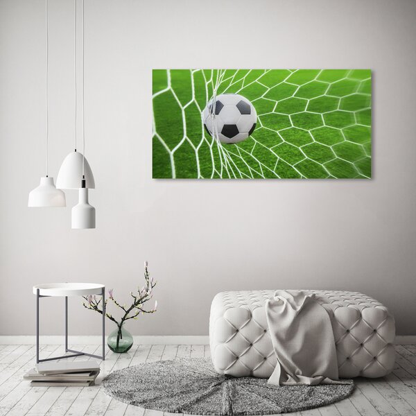 Foto obraz canvas Míč v bramce oc-52987773