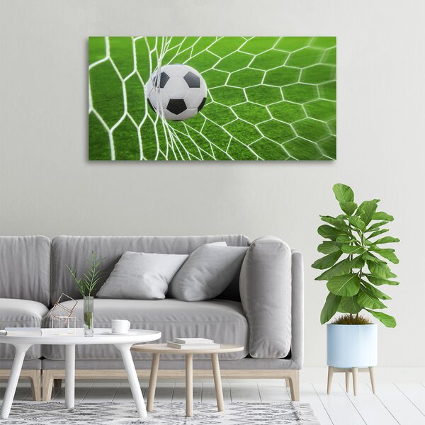 Foto obraz canvas Míč v bramce oc-52987773