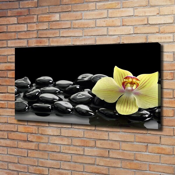 Foto obraz canvas Orchidej oc-53476359