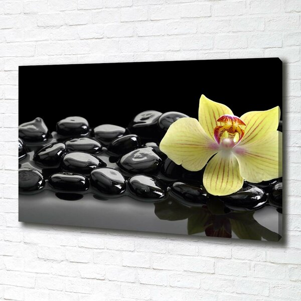 Foto obraz canvas Orchidej oc-53476359