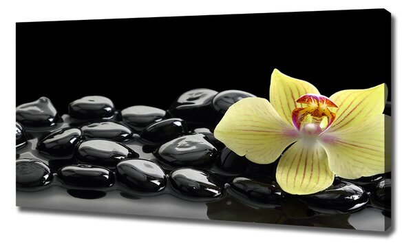 Foto obraz canvas Orchidej oc-53476359