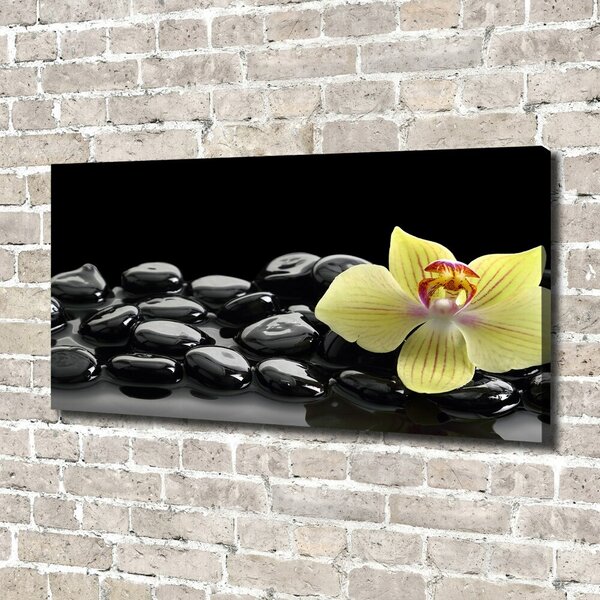Foto obraz canvas Orchidej oc-53476359