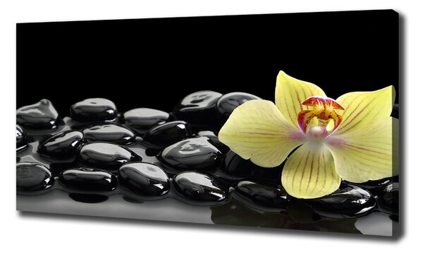 Foto obraz canvas Orchidej oc-53476359