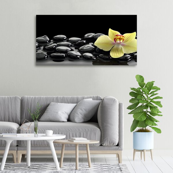 Foto obraz canvas Orchidej oc-53476359