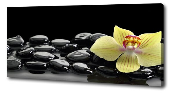 Foto obraz canvas Orchidej oc-53476359